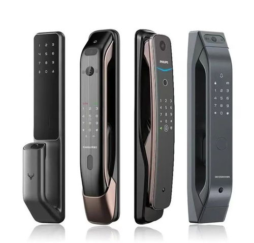 智能门锁风潮来袭 安全、便捷、智能，为何成为现代家庭新宠？